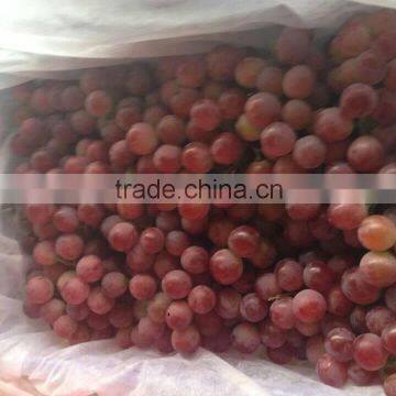 Red Global Grape/Red Grape/Bulk Grape photo-3