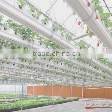 Trinog-xs (Xiamen) Greenhouse Tech Co., Ltd.