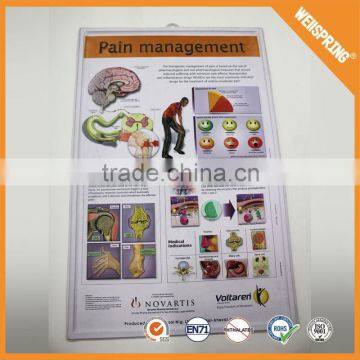 Trendy plastic custom medical wall chart