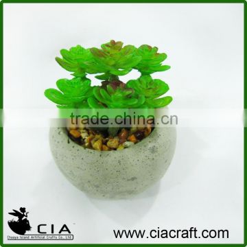 Bonsai Artificial Cement Potted Plant Succulent Sedum for Table Centerpiece