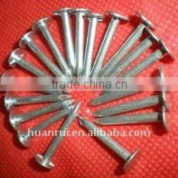 25mm galvanized plain shank clout nails
