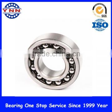 RAE 20 NPP Deep Groove Ball Bearing With Cheap Price