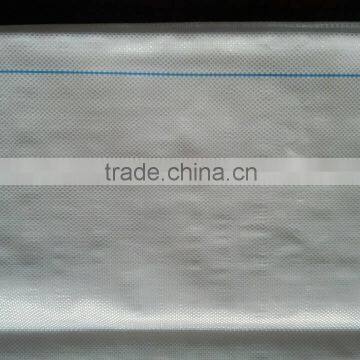 PP Woven Fabric/PP Woven Fabric for Flexitank Container photo-2