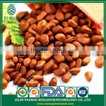 Sales Promotion Factory Direct Canned Open Pine Nuts in Shell