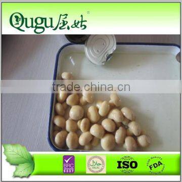 wholesale price canned champignon mushrooms