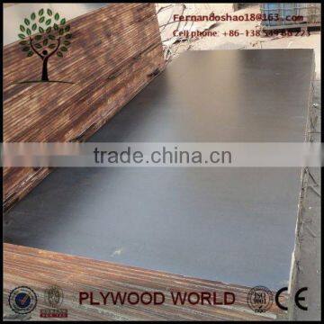 18mm Phenolic Plywood Construction Boards, Concrete Form Panels
