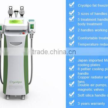CE FDA Professional Body Shape Fast Slim Weight Loss Cryolipo Cryolipolysis Cold Sculpting Body Shaper Slimming Machine photo-2