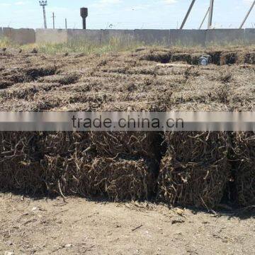 Licorice Root Exporters From India photo-4