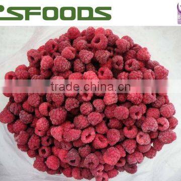 2015 crop IQF raspberry whole high quality