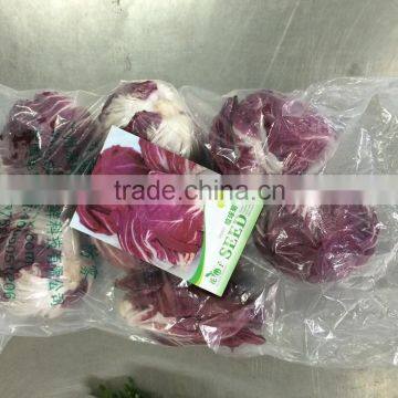 Fresh Radicchio photo-3