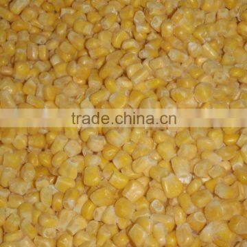 Frozen sweet corn kernel IQF sweet corn kerel non GMO