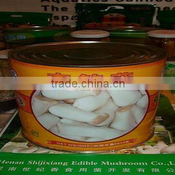 canned Pleurotus eryngii Fresh Pleurotus Eryngii mushroom