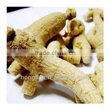 American Ginseng Extract Powder