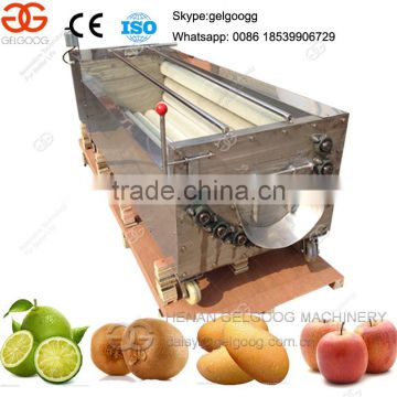 Brush type Potato washing machine Vegetable washing machine for sale