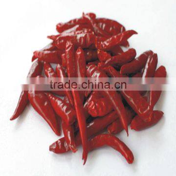 INDIAN HOT CHILLIES POWDER