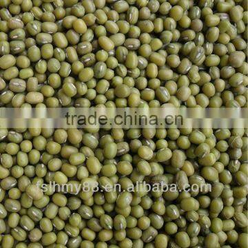 Northeast China Green Mung Bean