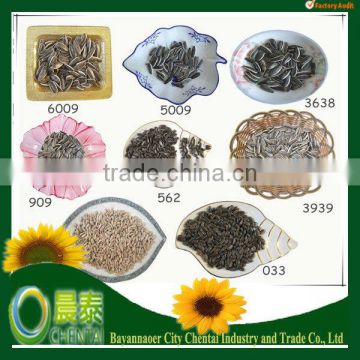 2013 New Crop High Quality Varieties Of Black Shelled Sunflower Seeds