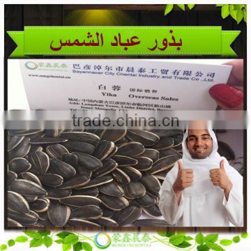 Supply Round Type sunflower seeds 1121