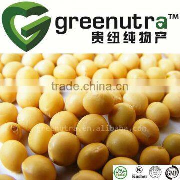 Soya Lecithin Powder