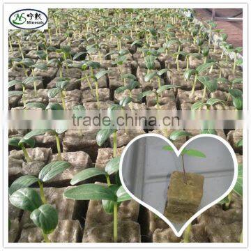 Rock Wool Grow Cube for Plant Hydroponic Agriculture photo-3