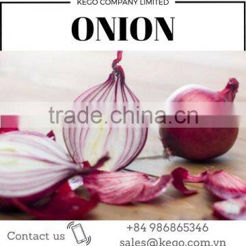 Vietnam fresh onion for kuwait market