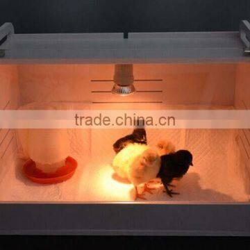 2016 new type chicken brooder for sale, poultry gas brooder made in china