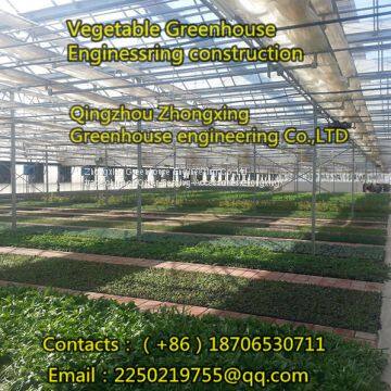 Grass Greenhouse, We Are Professional！ photo-4