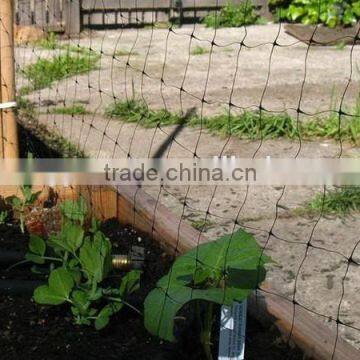 plant support net,plants protection net,cucumber support nets