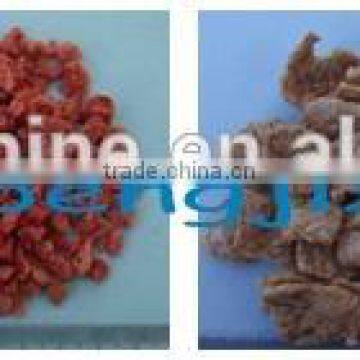 Jinan Eagle DP85 Soya Nuggets Chunks Making Extruder Machines photo-4