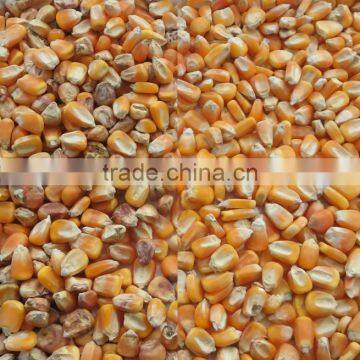 2017 New Version Maize Color Selecting Sorter in China photo-3