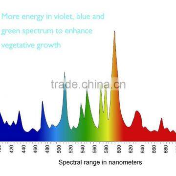 1000W MH Grow Bulb/Indoor Grow Lamp SuperPlant MH 1000W - Vegetative Growth photo-6