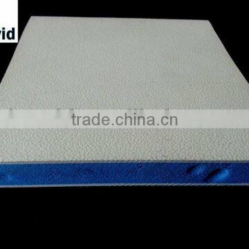High Quality Fibreglass Reinforced Plastic Sandwish Panel for Carbody photo-3