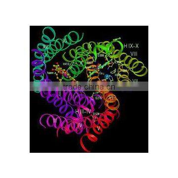 High Quality Better Price Maltodextrin Powder