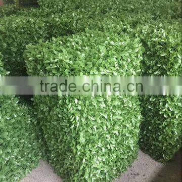 Artificial Outdoor and Indoor Boxwood Hedge for Decoration photo-3