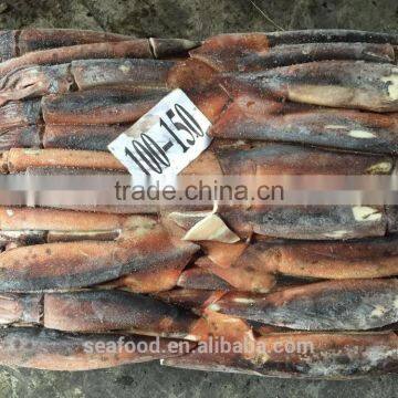 Frozen Whole Round Squid ILLEX ARGENTINUS 2016 NEW PRODUCTION photo-2