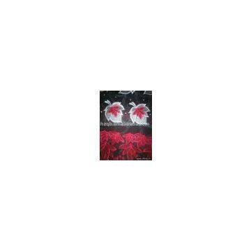 swiss voile lace