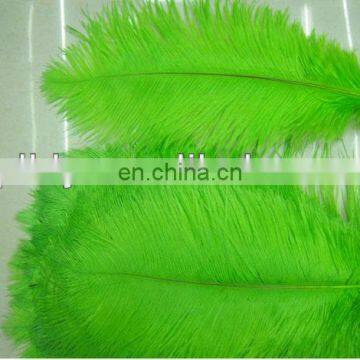 large green 60-65cm ostrich feather from south Africa