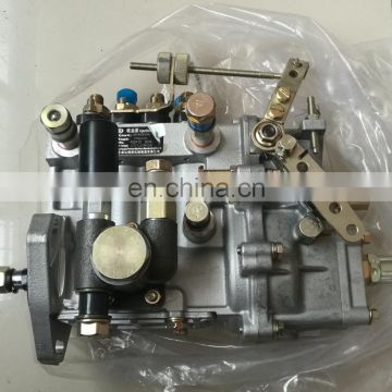 4Q125b High pressure fuel pump BQ2000 pump BH4Q80R8 for Yangdong YSD490Q/3200