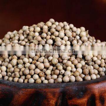 Supply 100% Natural White Pepper