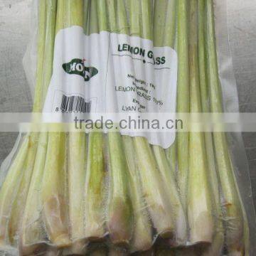 Frozen Lemongrass / Lemongrass from Vietnam/Lemongrass puree