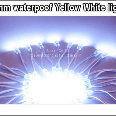 LED Decoration Light 9mm 12mm LED Pixel Strings White Color 5V 12V Lightings For Outdoor Signage photo-2