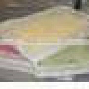 Fresh & Stuffed Pasta maker Machines