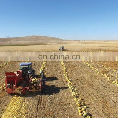 Best Price FULL Automatic Pumpkin Harvester Wholesale Product - The Most Preferred Harvester- 2022 photo-2