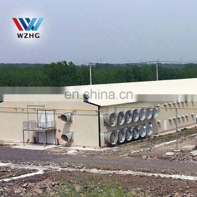 Prefab Custom Poultry Farm Q355B Q235B Steel Structure House 10000 Pcs Chicken House Steel Metal Sheds Cow Sheds for Sale photo-3