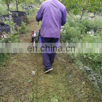 High Quality Italy Brand BCS Rotary Cultivator BCS Mini Power Tiller Implement Single Rotor Blanderunner 60cm photo-5