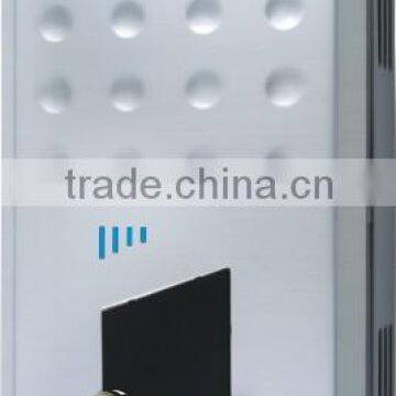 8L Instant Type Gas Water Heater