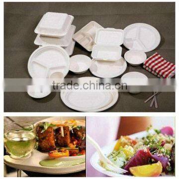 Bagasse Tableware photo-1