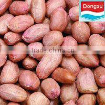 peanuts kernel