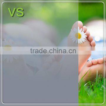 High Quality Decorative Pet Membrane/film for Glass Door photo-2