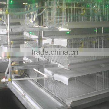 day old chick broiler cage/cage for growing broiler chicken